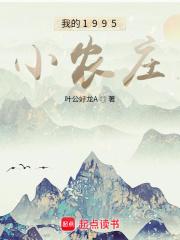 我的1995小农庄封面图片